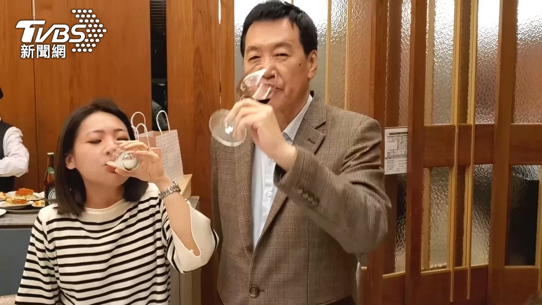 徐巧芯、費鴻泰。(圖/TVBS資料畫面)