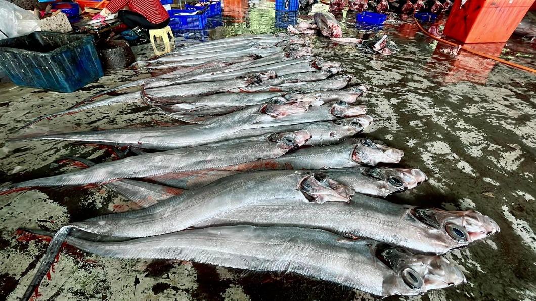 地震魚通常指黃帶魚或石川氏粗鰭魚。(示意圖/翻攝自阿春新鮮魚貨-台東成功漁場臉書)