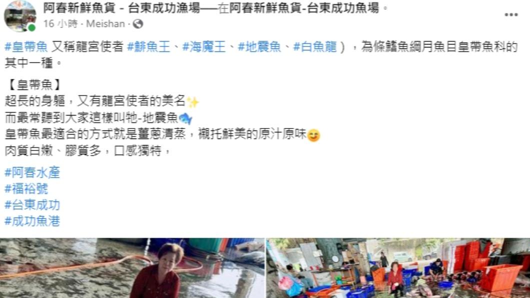 阿春新鮮魚貨分享,皇帶魚超長的身軀,又有龍宮使者的美名。(圖/翻攝自阿春新鮮魚貨-台東成功漁場臉書)