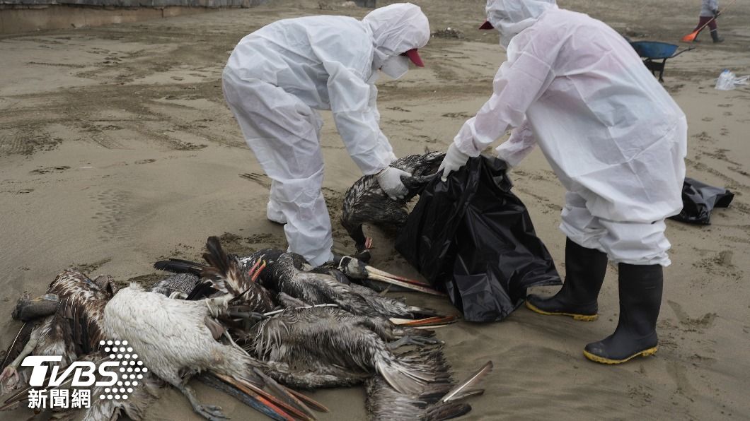 世衛警告 廣東首現H3N8禽流感病毒人類死亡案例