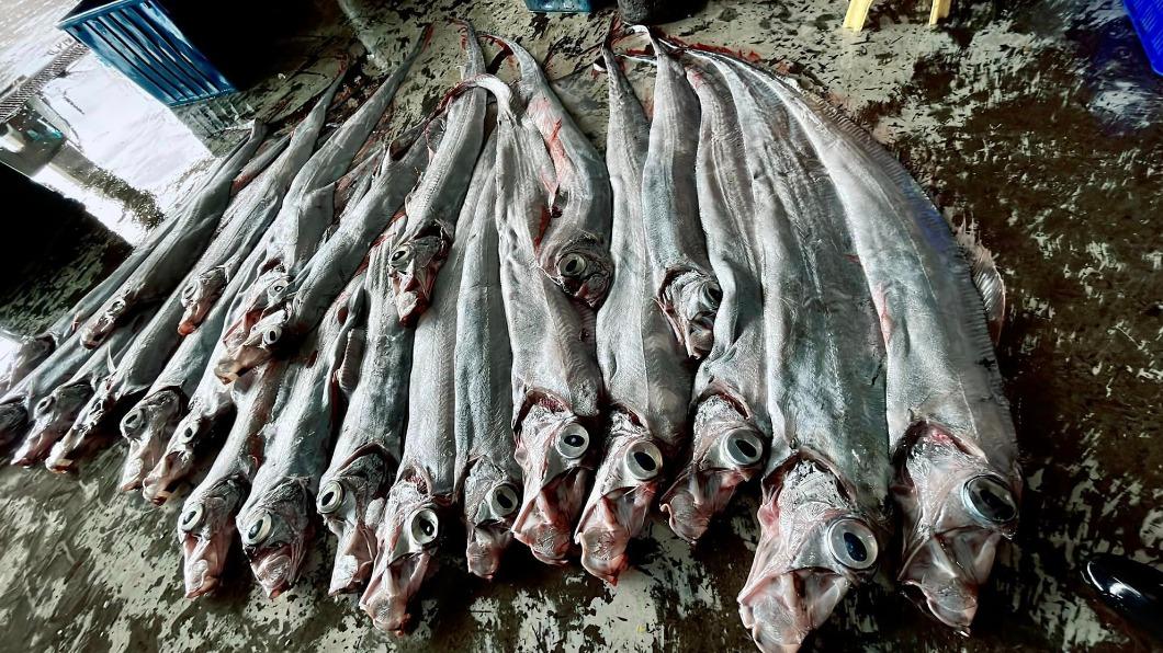 漁民1次捕獲近50尾的地震魚。（圖／翻攝自阿春新鮮魚貨－台東成功漁場臉書）