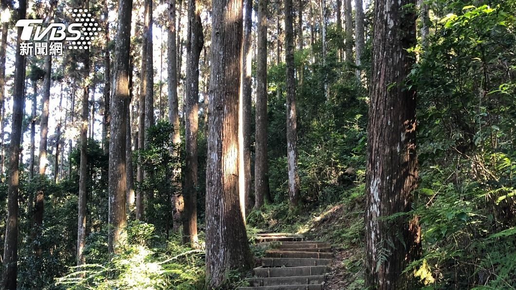 藤枝國家森林遊樂區4/21起免預約　現場購票入園