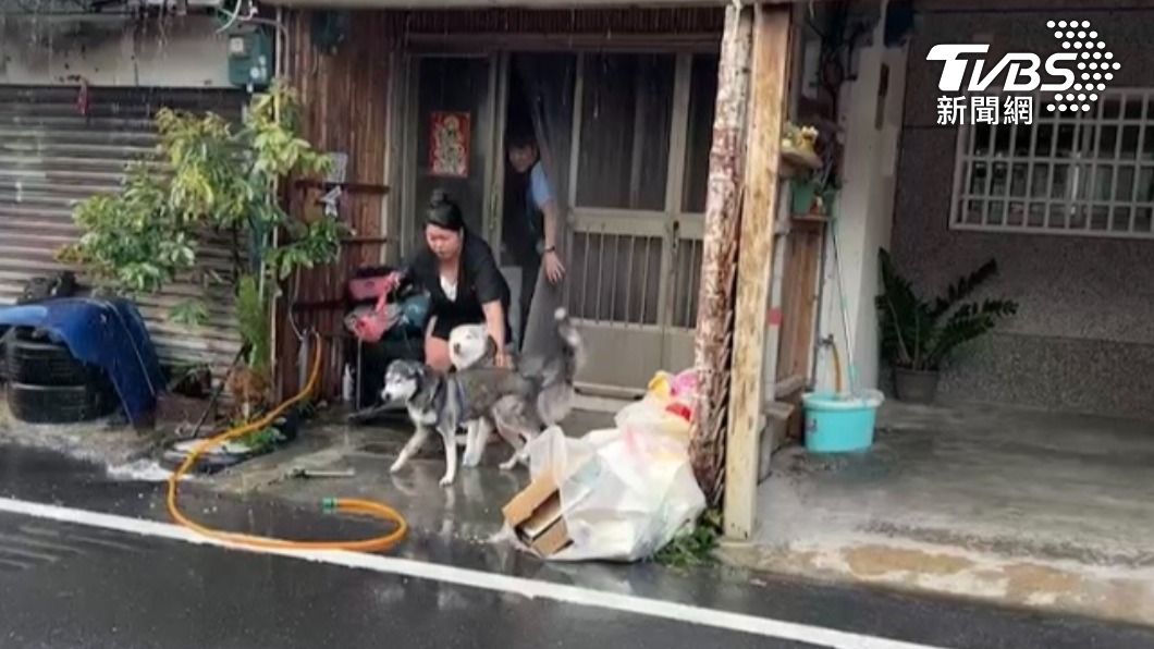 2隻哈士奇瘋狂吠叫,救了飼主一命。(圖/TVBS)
