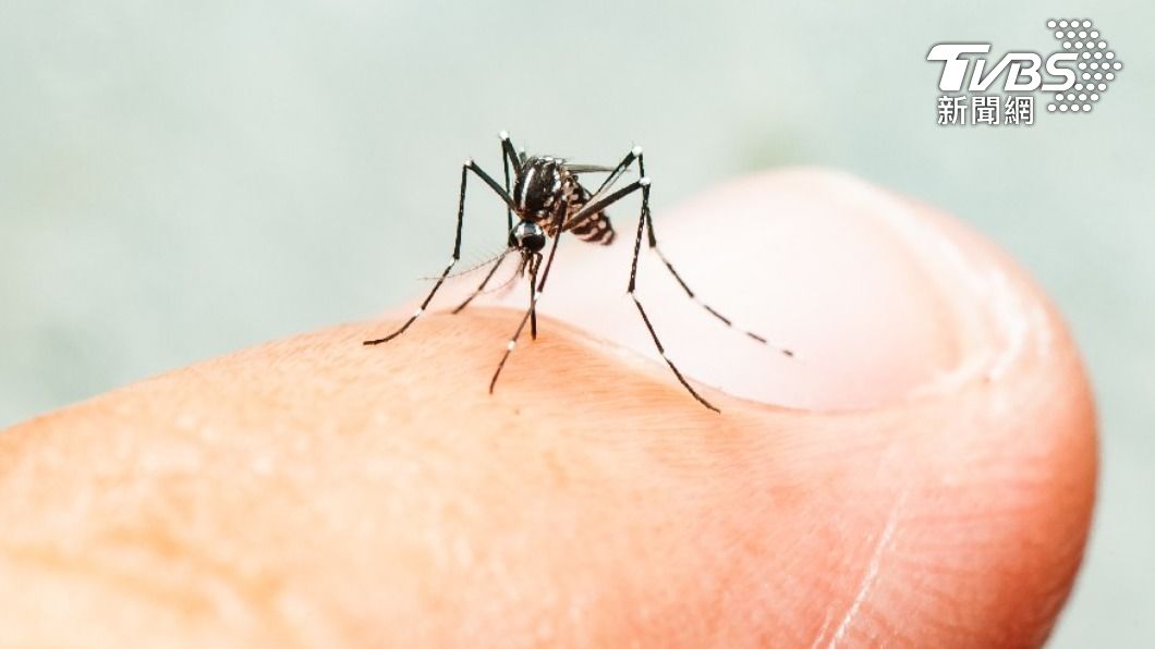 蚊子最愛體溫高、容易喘並吐出較多二氧化碳者，另外還有O型血型和噴香水的人。（示意圖／shutterstock達志影像）