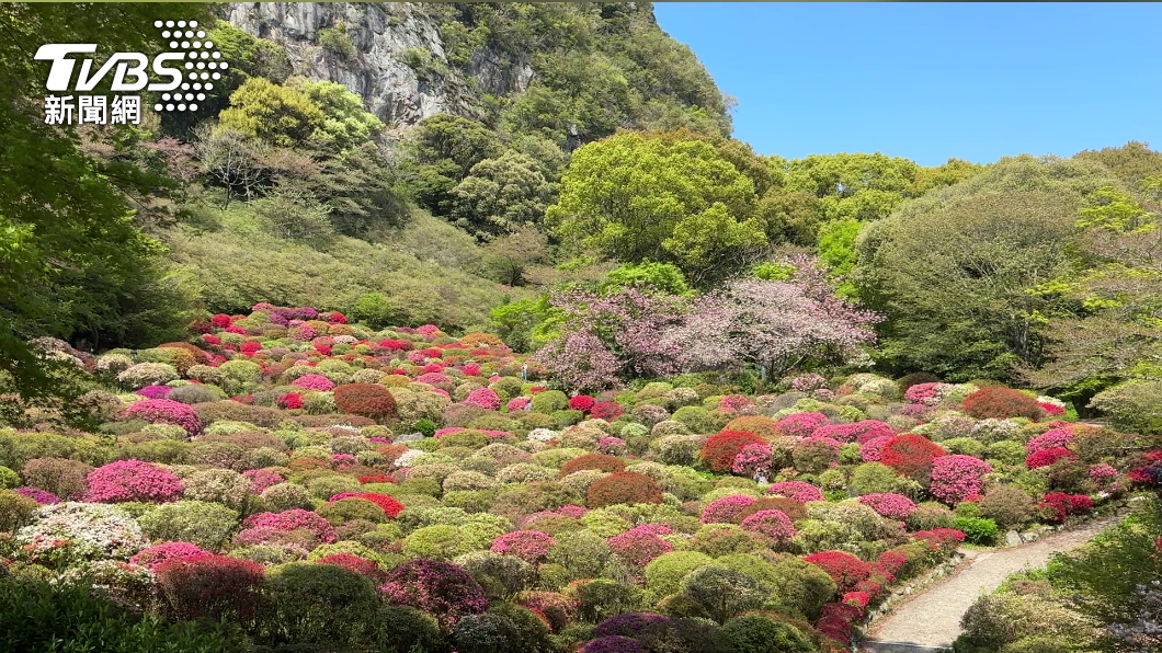 御船山是佐賀縣武雄市的象徵。（圖／葉韋辰攝）