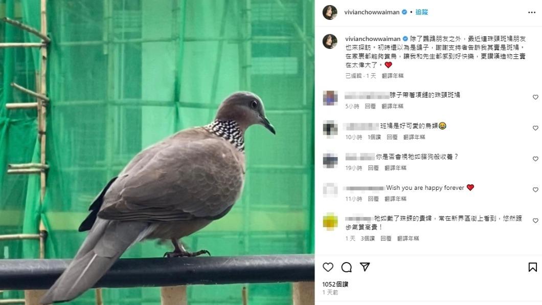 周慧敏發文戳破婚姻危機。(@vivianchowwaiman IG)