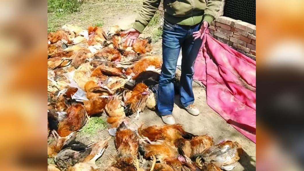 鍾姓男子損失1萬3840人民幣(約6萬1468新台幣)。(圖/翻攝自《騰訊網》)
