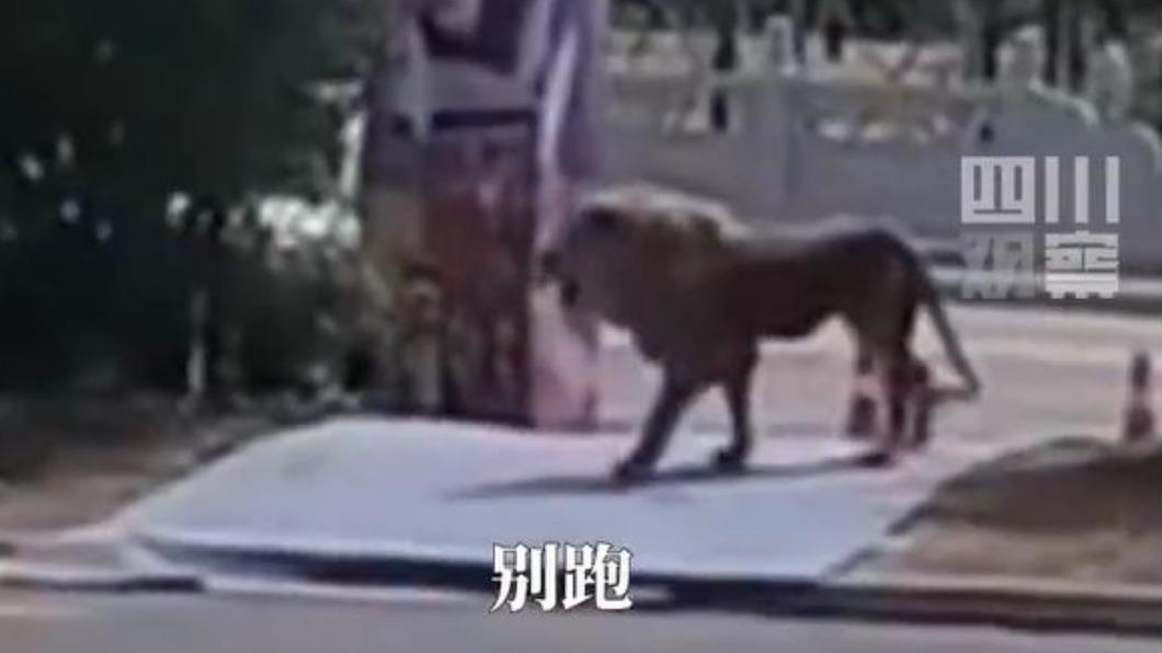 圖/翻攝自微博四川觀察