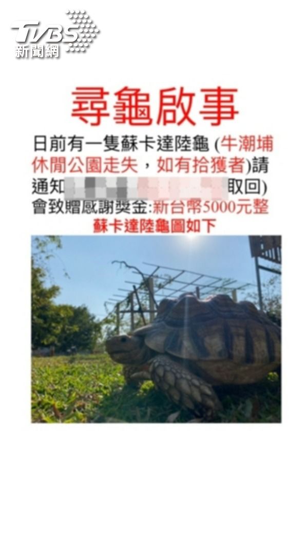 戴女一家在臉書上PO文協尋。(圖/TVBS)