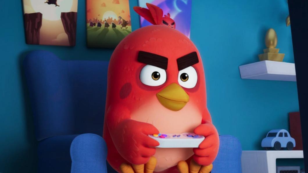 SEGA傳要收購《Angry birds (憤怒鳥)》開發商。(圖/翻攝自@憤怒的小鳥微博)