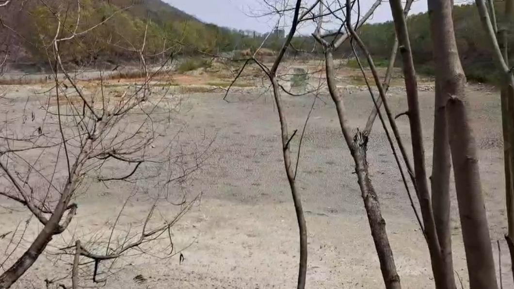 地面石灰通通龜裂。(圖/民眾提供)