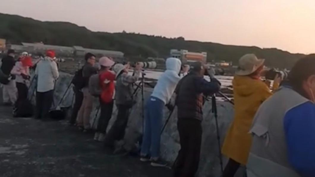 由於是季節限定美景,吸引大批攝影愛好者前來捕捉瞬間。(圖/張隆提供)