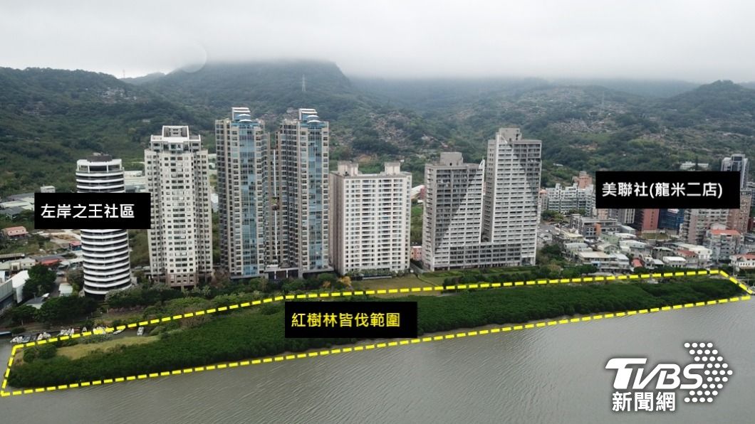 適度的皆伐,對生態平衡及防洪安全是。圖/高灘處提供高灘處提供