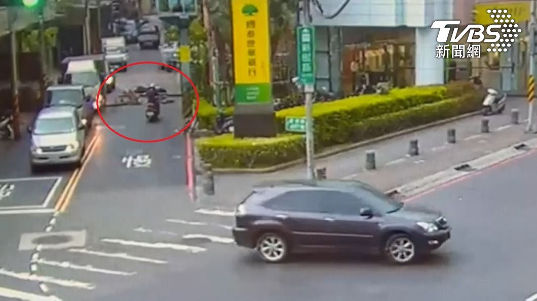 陳姓女騎士被路樹砸中,當場摔車。(圖/TVBS)