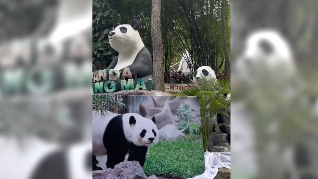圖／翻攝自微博剋剋啊