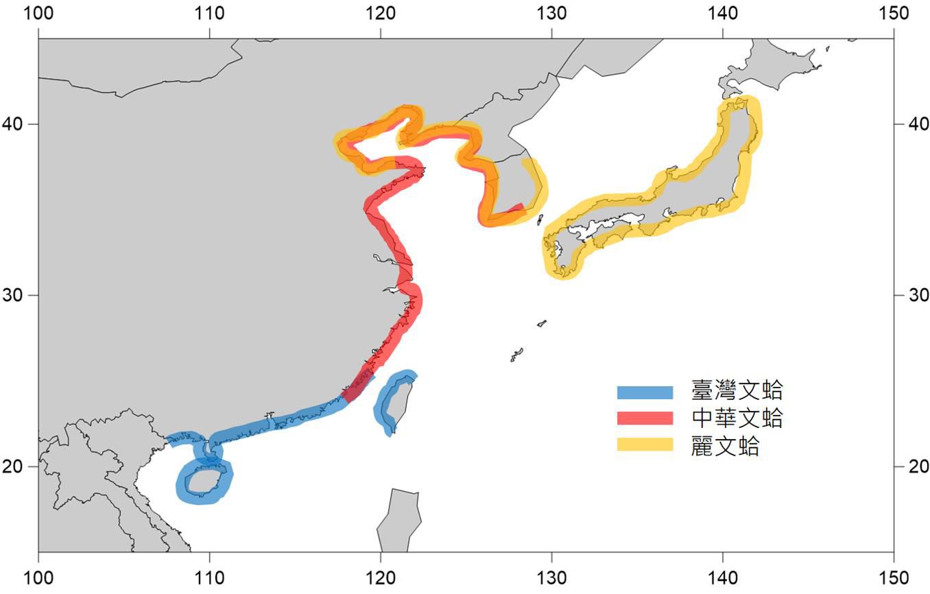 常見的文蛤種類主要分布地區。(圖/農委會水試所提供)
