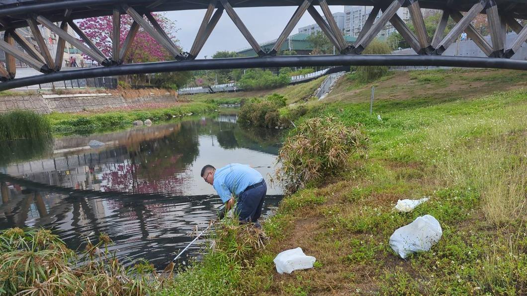 鋒面降雨影響水溫 台南竹溪漂魚屍