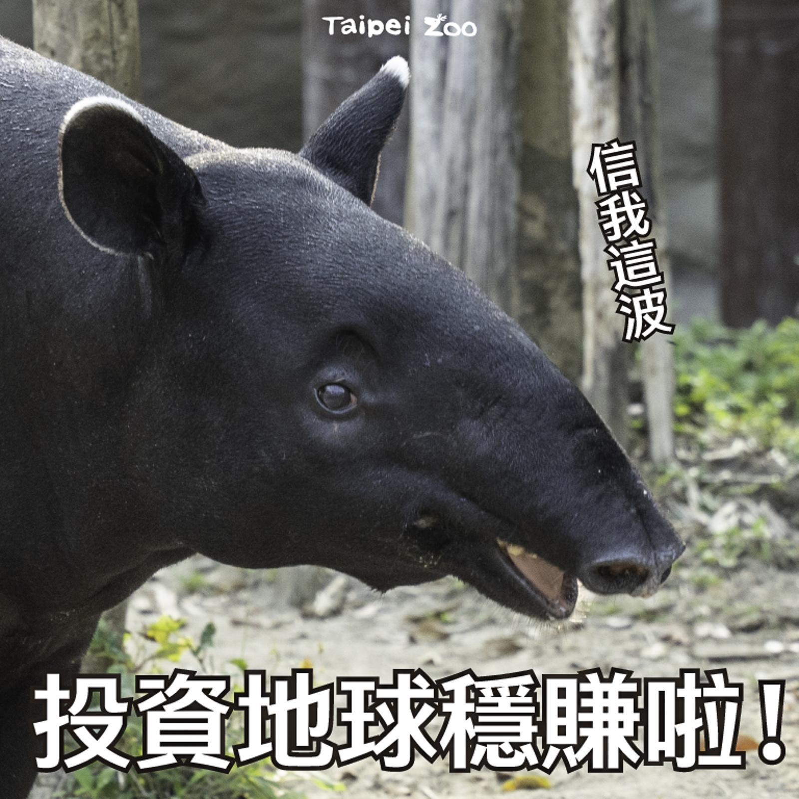 園方邀請遊客呼朋引伴至動物園學習如何投資地球。(圖/台北市立動物園提供)