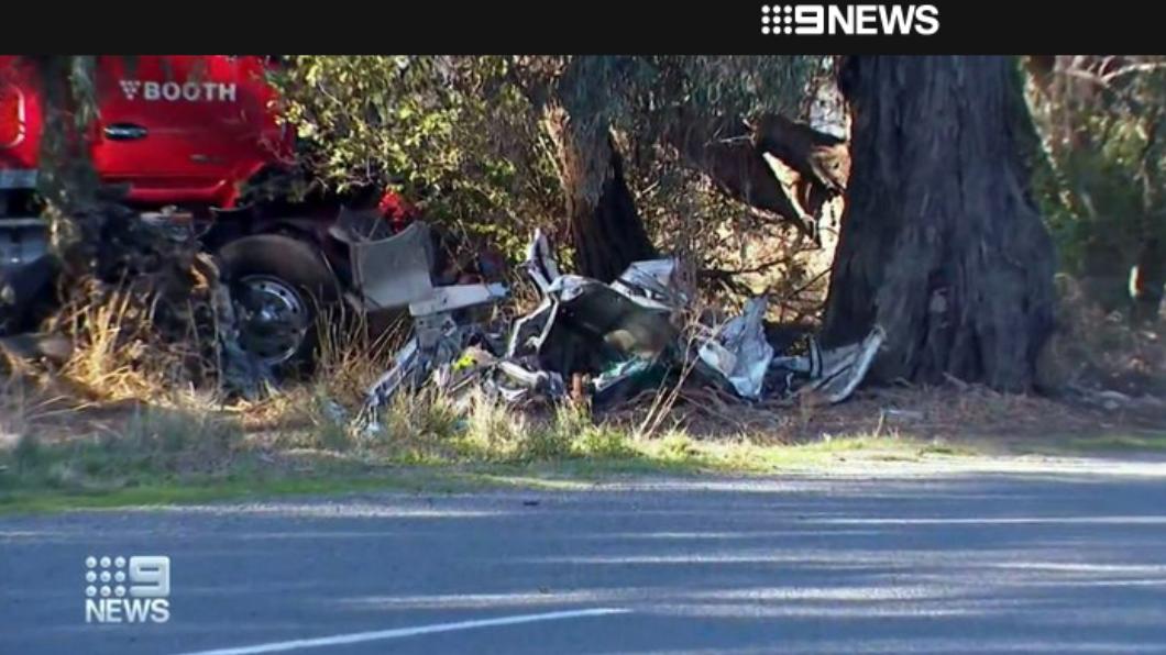 快訊/澳洲重大車禍!女房東開車去羊肉工廠 3台灣人遇死劫