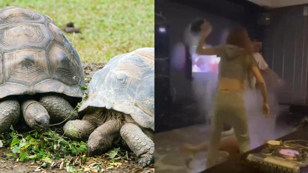 今日熱搜關鍵字為「地球日」、「潑熱湯」。（圖／台北市立動物園提供、翻攝自爆廢公社臉書）