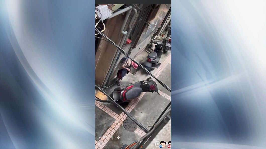 圖/翻攝自爆料公社