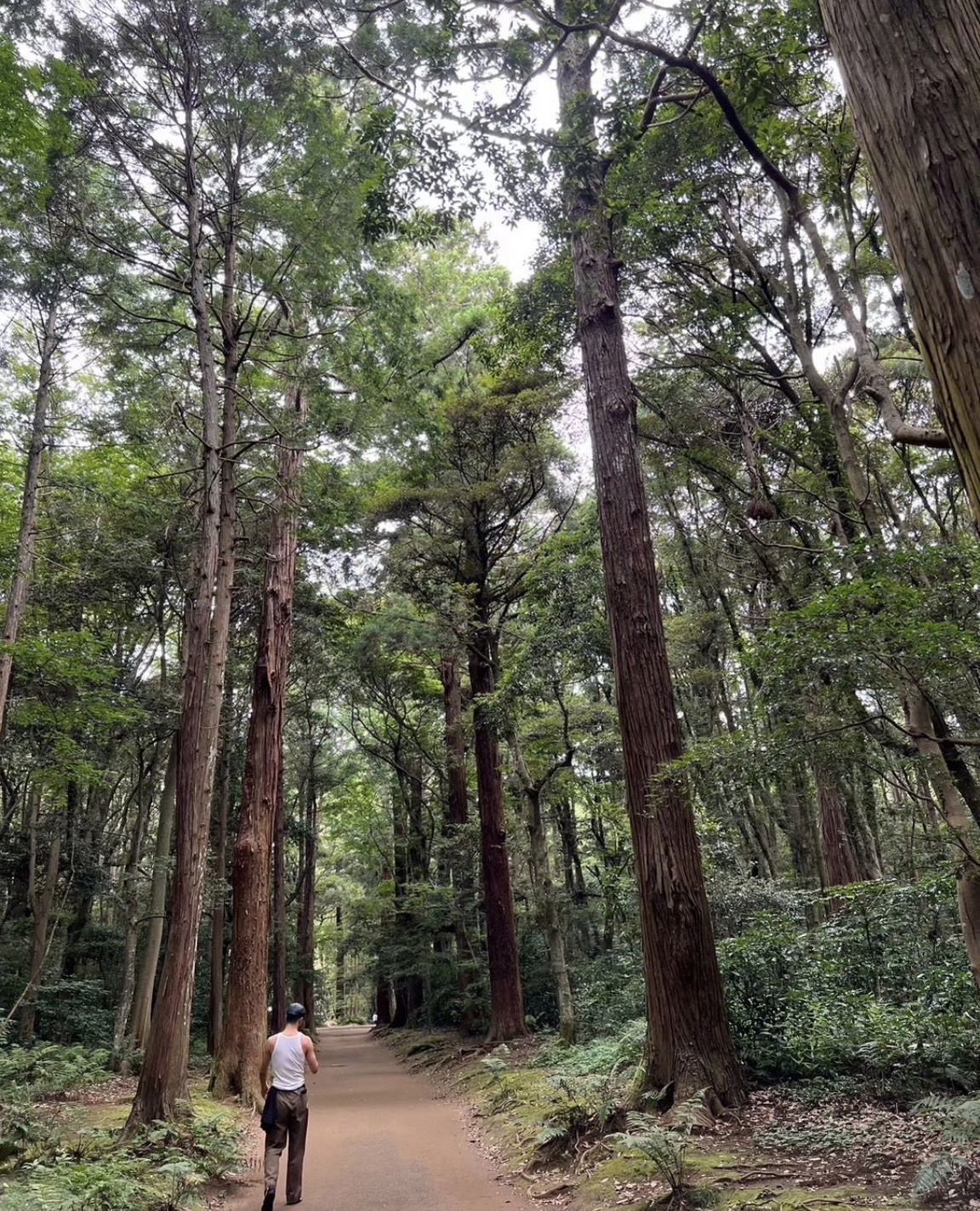 林志玲「愛妻視角」拍AKIRA背影。（圖／翻攝自林志玲 IG）