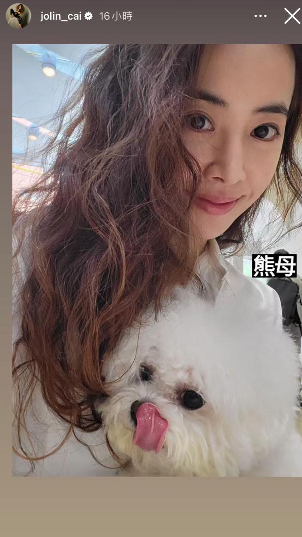 蔡依林與愛狗出遊。(圖/翻攝自蔡依林IG)