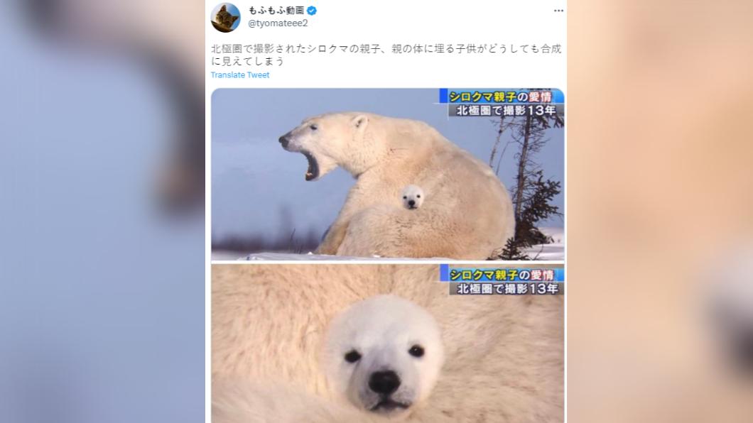 網友指出,這張照片彷彿是合成照。(圖/翻攝自推特)