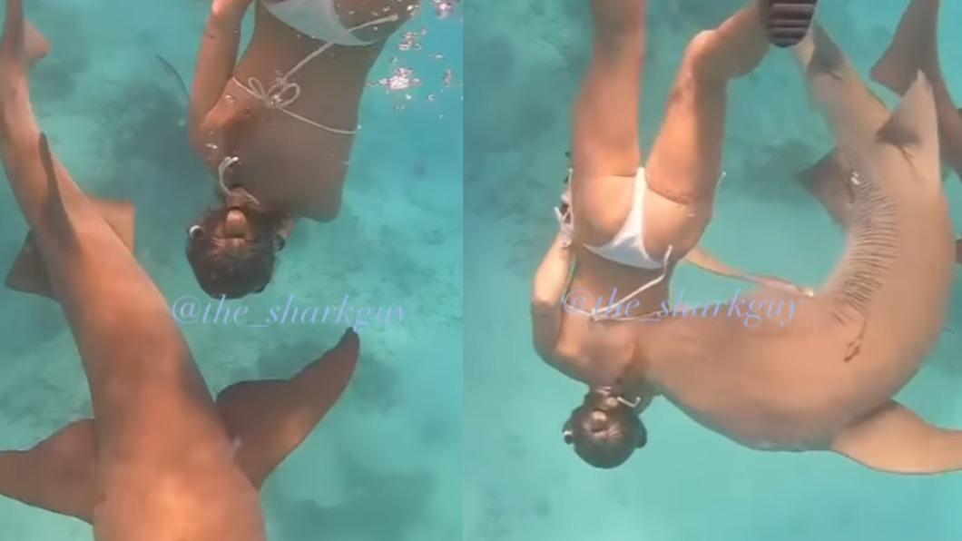 游太近?正妹浮潛突遭鯊魚猛咬 美背留15cm駭人血痕