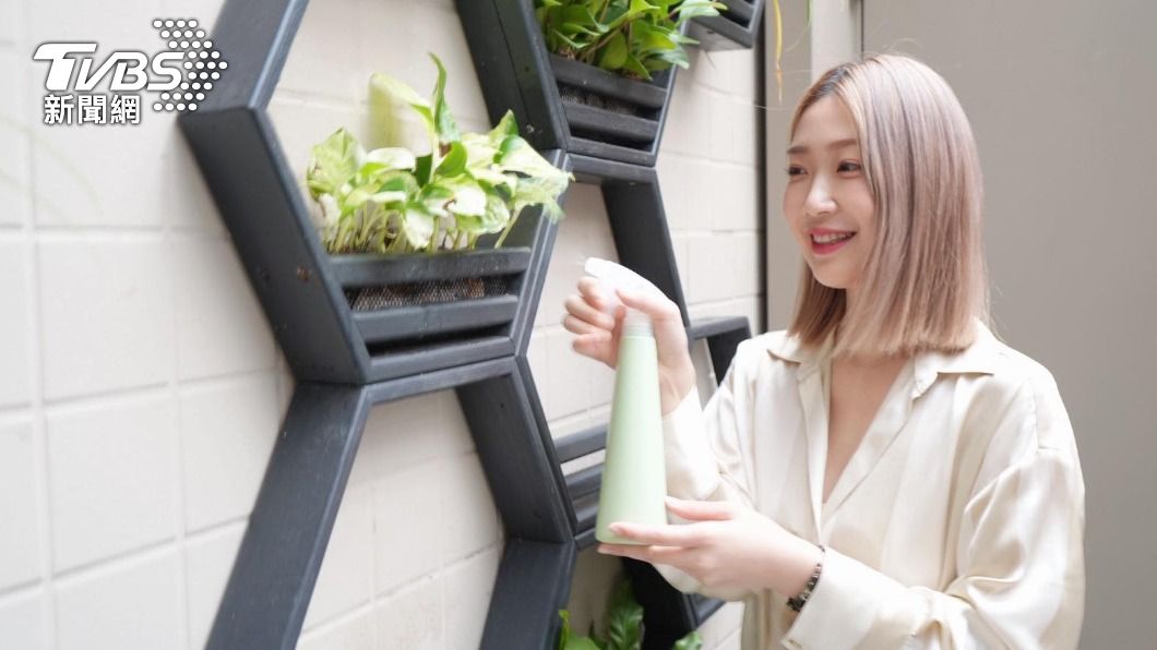 小玉兒在1樓庭園特別設計綠意,放了許多較好種植的觀葉植物。(圖/陳薈涵攝)