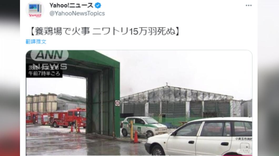 心痛!蛋荒還沒解除 日養雞場大火15萬隻蛋雞慘被燒死