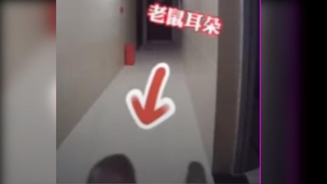 老鼠的雙耳在監視器前無所遁形。(圖/翻攝自微博)