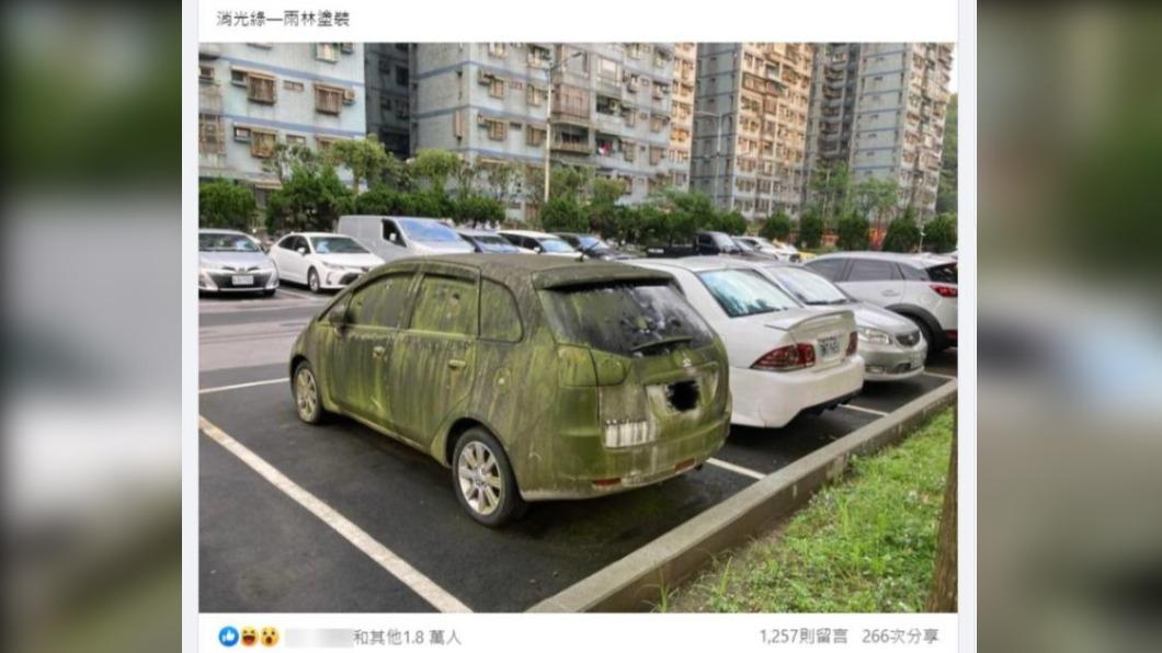 網友笑稱該車是「消光綠─雨林塗裝」。(圖/翻攝自路上觀察學院臉書)