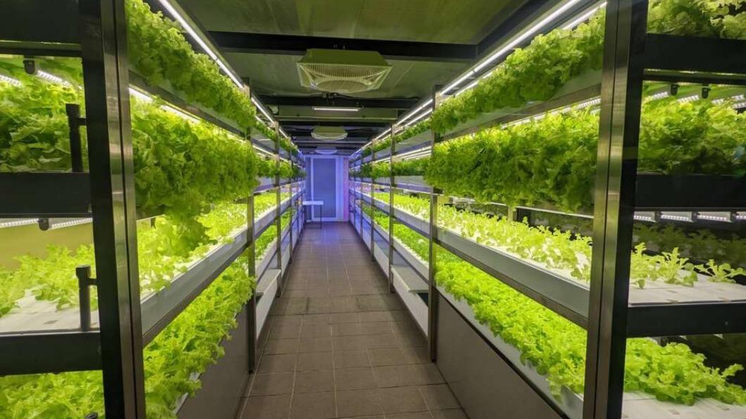 楊植斗發現,北捷現在出現「賣菜」的副業。(圖/楊植斗提供)