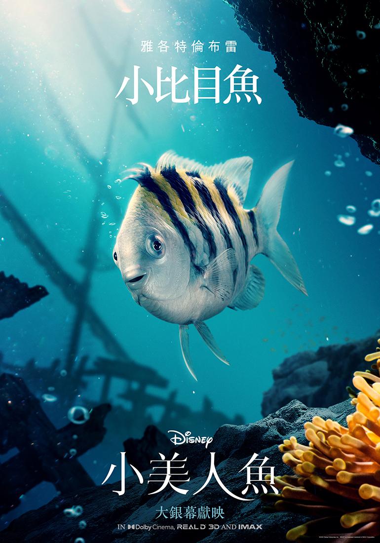雅各特倫布雷飾小比目魚。(圖/迪士尼提供)