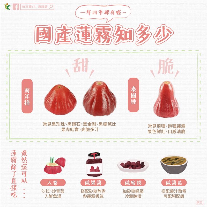 農糧署指出,蓮霧確實能用來入菜或煮湯。(圖/翻攝「農糧署」臉書)