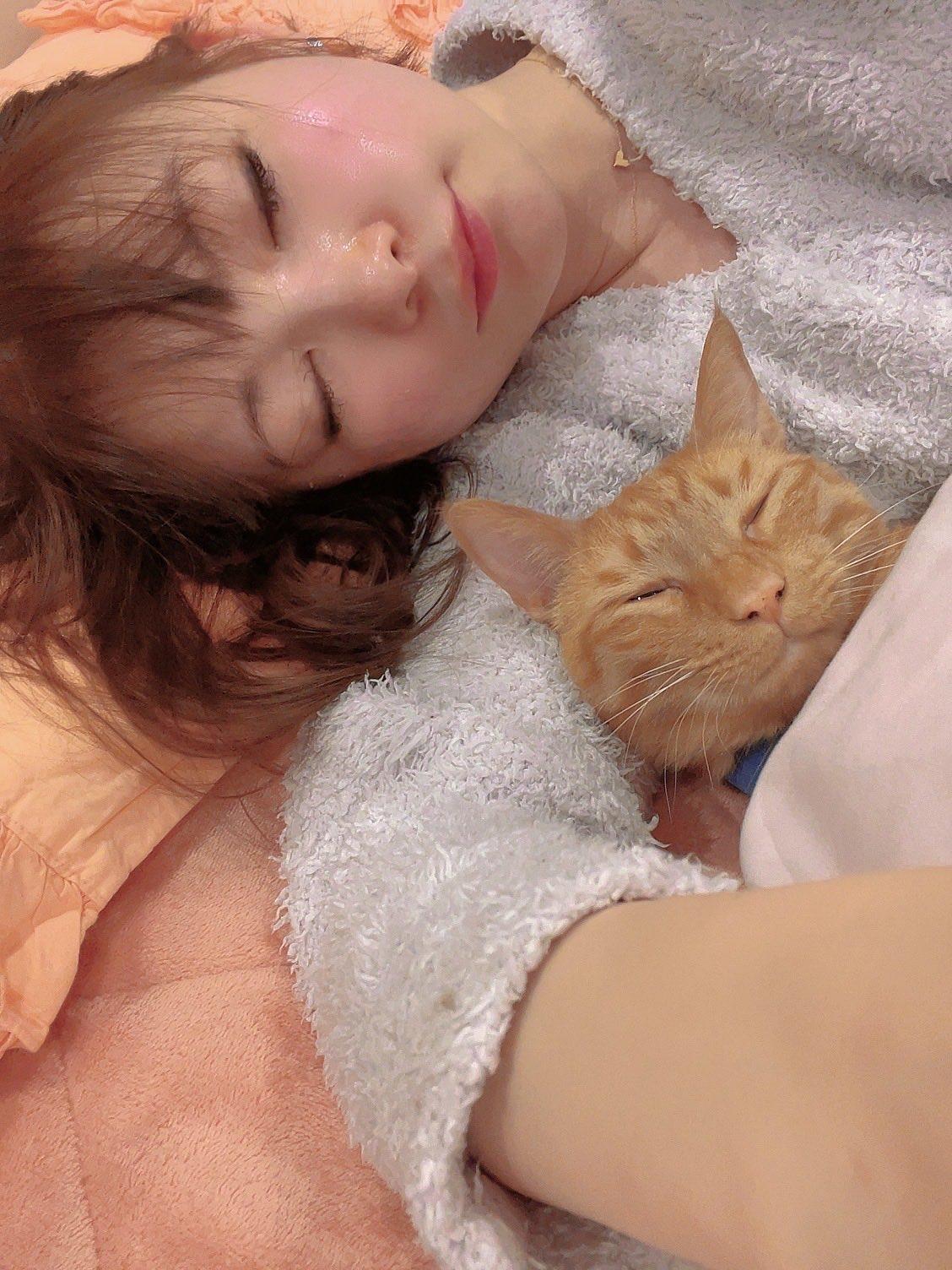 中川翔子的愛貓MEPO於3月因心臟疾患離世。(圖/翻攝自中川翔子推特)
