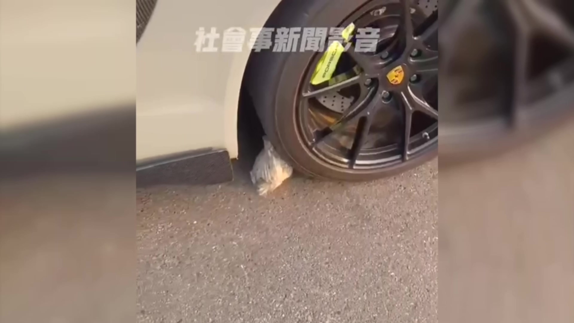 翻攝／社會事新聞影音