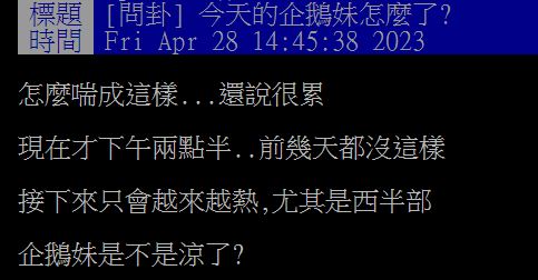 有網友發文詢問,今日的企鵝妹怎麼了?(圖/翻攝自PTT)