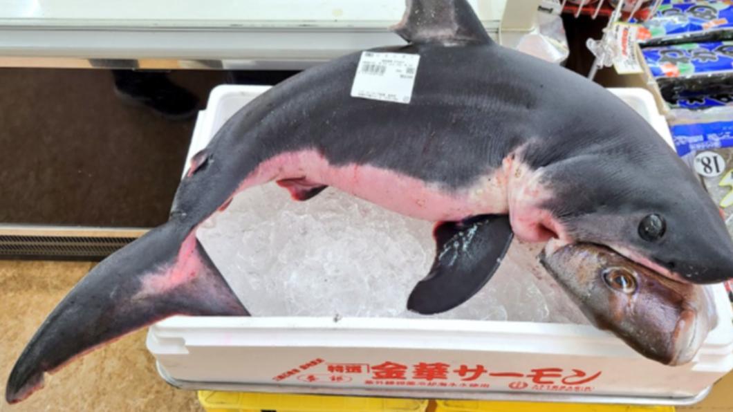日本超市出現食物鏈 販售「整條鯊魚」嘴中還咬著獵物