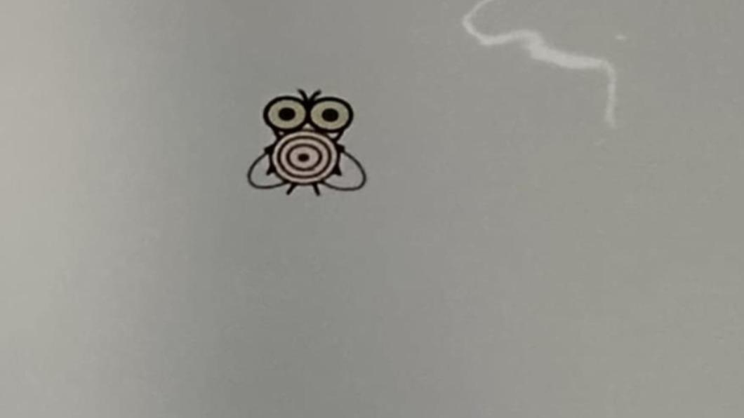 原PO在北捷小便斗看見設計非常特別的蒼蠅。(圖/翻攝自「爆怨公社」臉書)