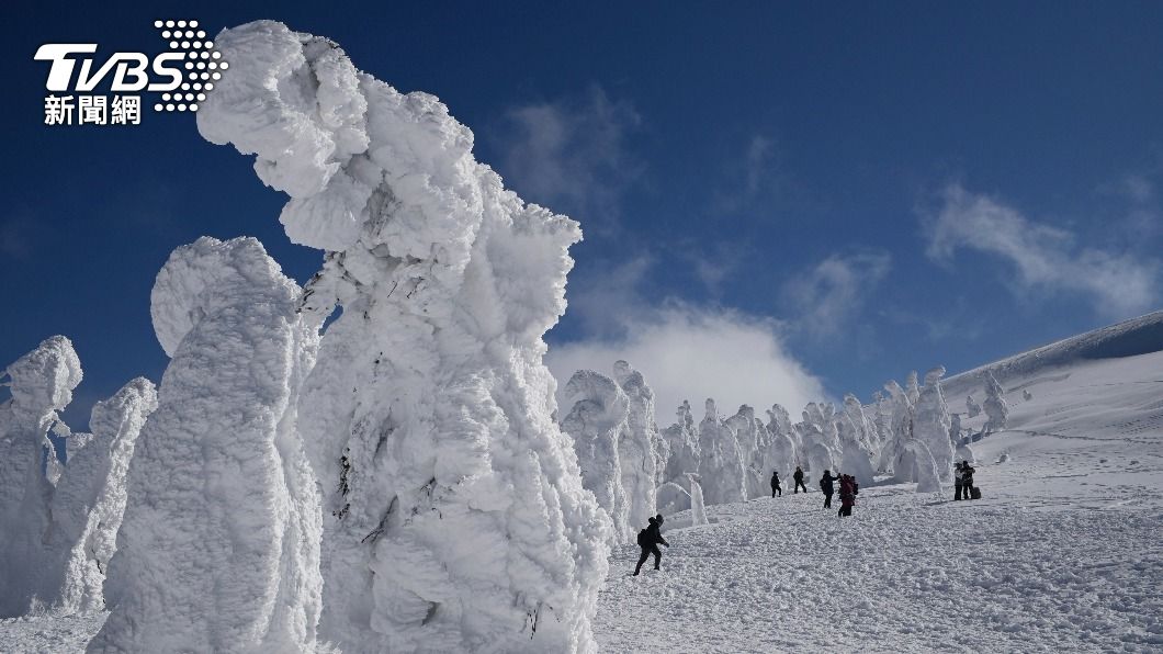 雪怪將消失?全球暖化 日本知名「藏王樹冰」絕景恐不再
