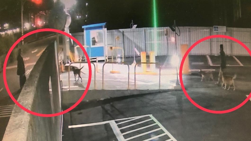 飼主要注意了 溜狗狗「未繫繩」嚇到民眾警送辦