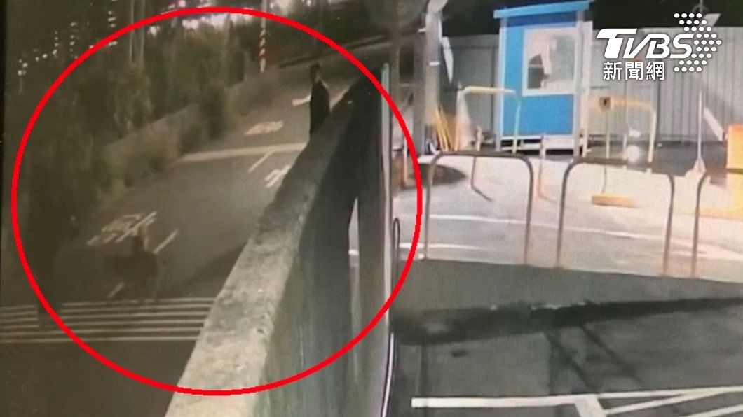 男飼主看著狗去追人還不為所動。（圖／警方提供）