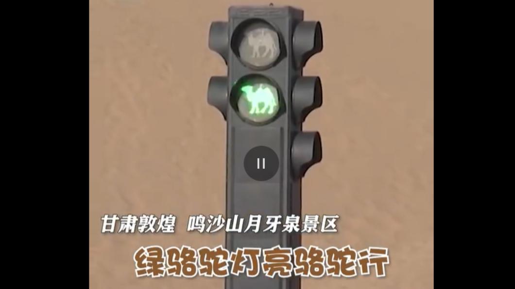 敦煌的「駱駝紅綠燈」,燈號還做成了駱駝的形狀。(圖/翻攝自央視新聞微博)
