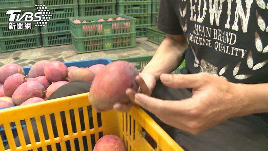 立院三讀／防農產品外流！重要種苗輸出可關3年、罰300萬