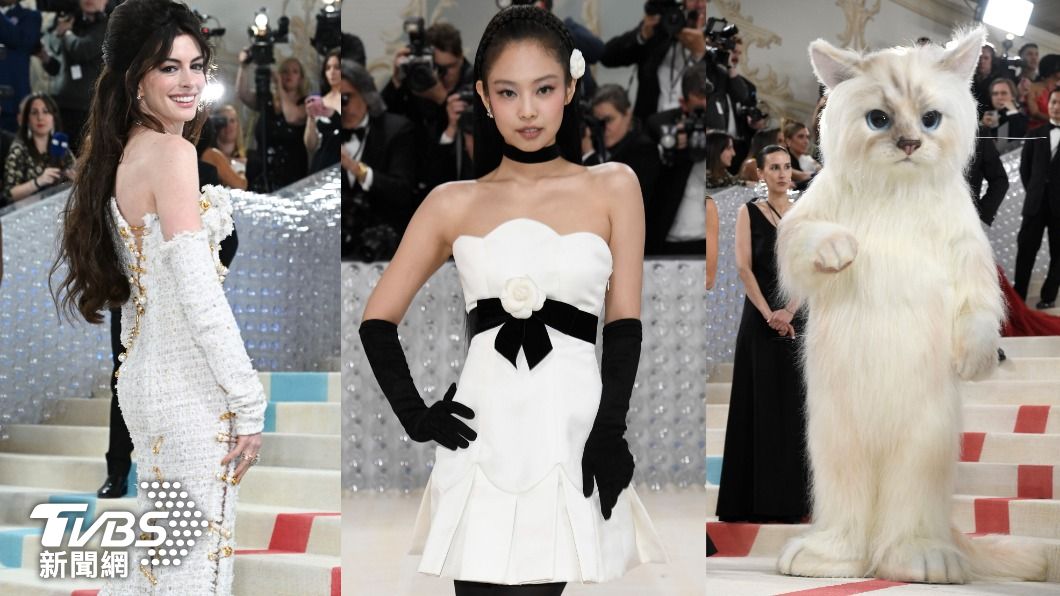 Met Gala/安海瑟威絕美登場 他變身老佛爺愛貓