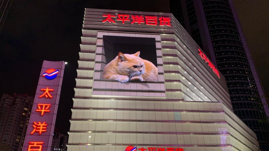 圖／翻攝自微博