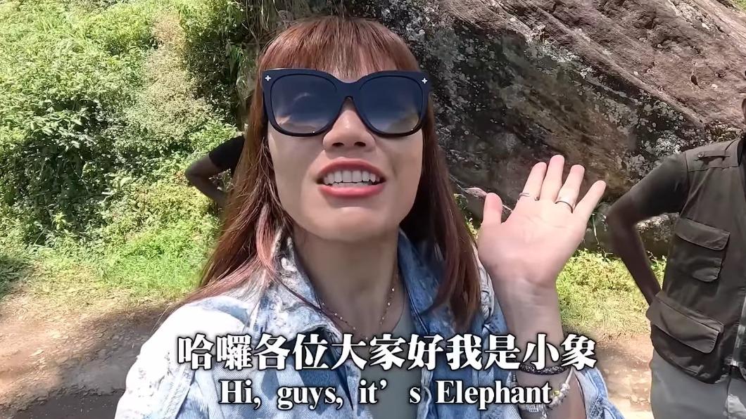 40人才慘死!網紅小象「斯里蘭卡獨旅摔車」 驚險瞬間曝