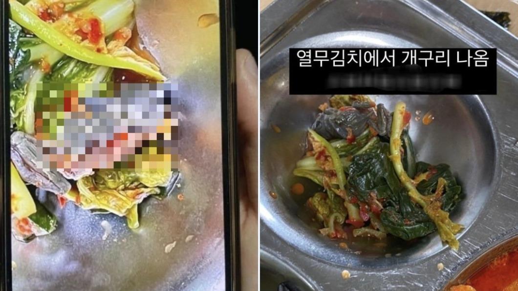 韓學校午餐裡藏死青蛙!知情還繼續煮 廠商僅遭停業5天